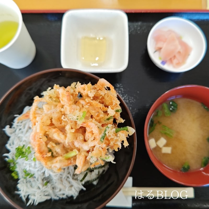 食堂さくら　ミックス丼