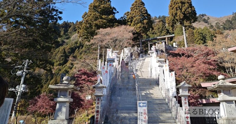 阿夫利神社下社階段下