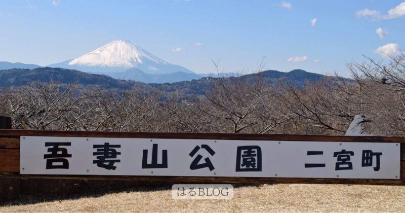 吾妻山公園