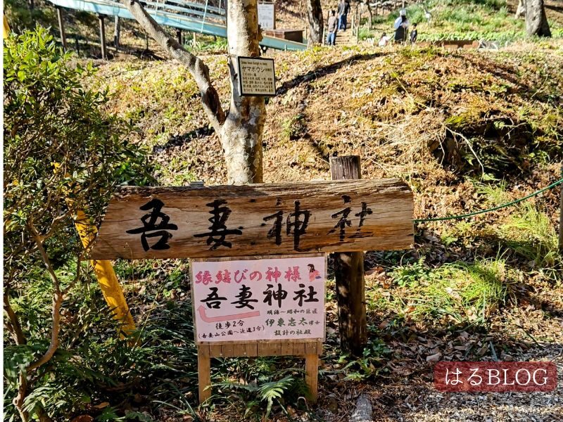 縁結びの神様：吾妻神社案内板