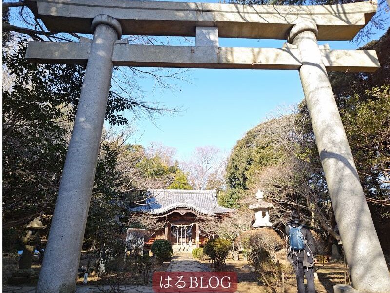 吾妻神社　鳥居