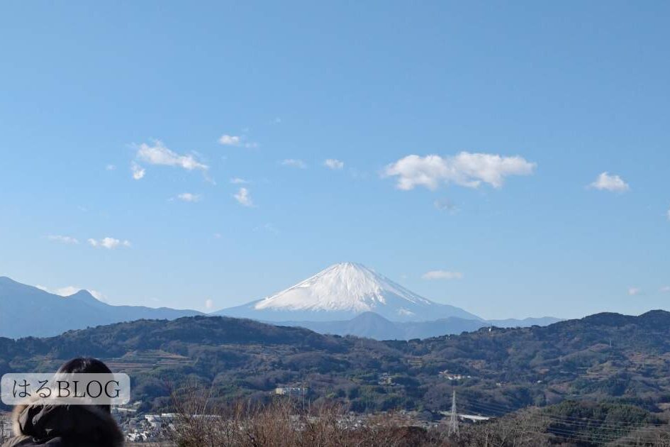 吾妻山山頂から見える富士山