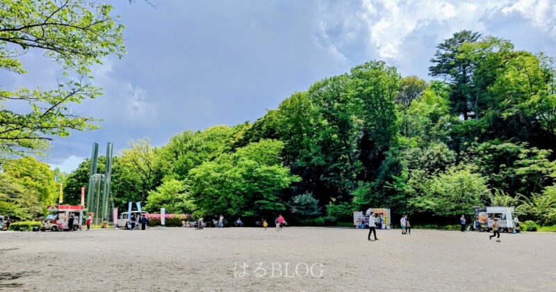 芹ヶ谷公園 広場