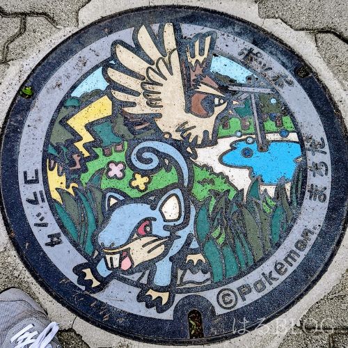 ポケふた:コラッタ・ポッポ
