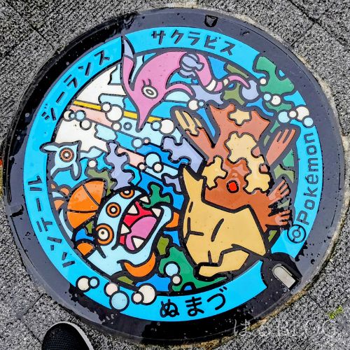 沼津ポケふた ジーランス サクラビス ハンテール