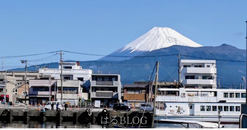 沼津港から見える富士山