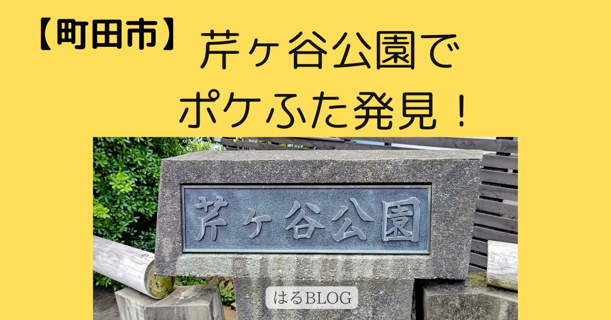 町田市芹ケ谷公園でポケふた発見