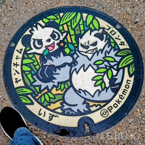 伊豆修善寺ポケふた ヤンチャム ゴロンダ