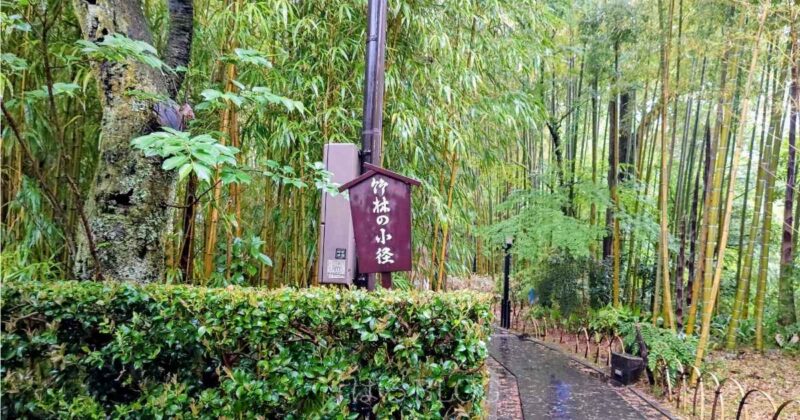 修善寺 竹林の小径