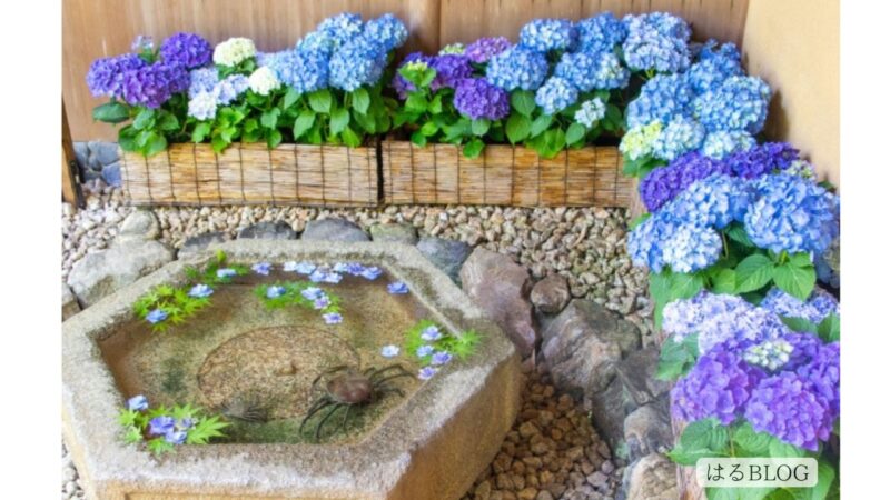 一条恵観山荘 あじさいと手水