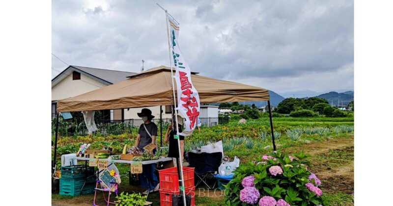 開成町あじさい祭り地元特産品販売所