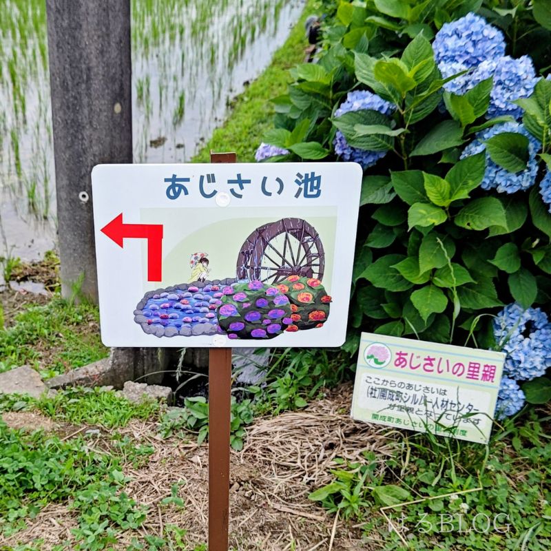 あじさい池案内看板
