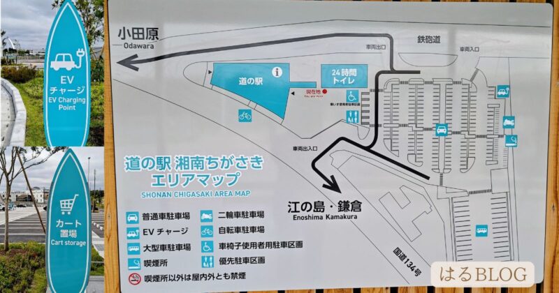 道の駅湘南ちがさきエリアマップ