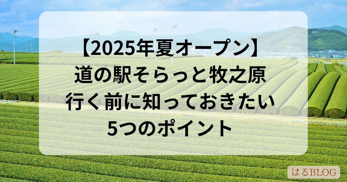 道の駅 そらっと牧之原