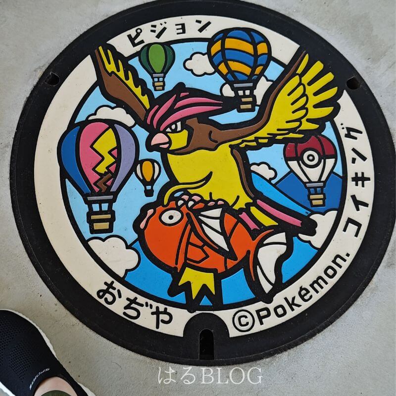 小千谷市総合体育館入口の右側にあるポケふた