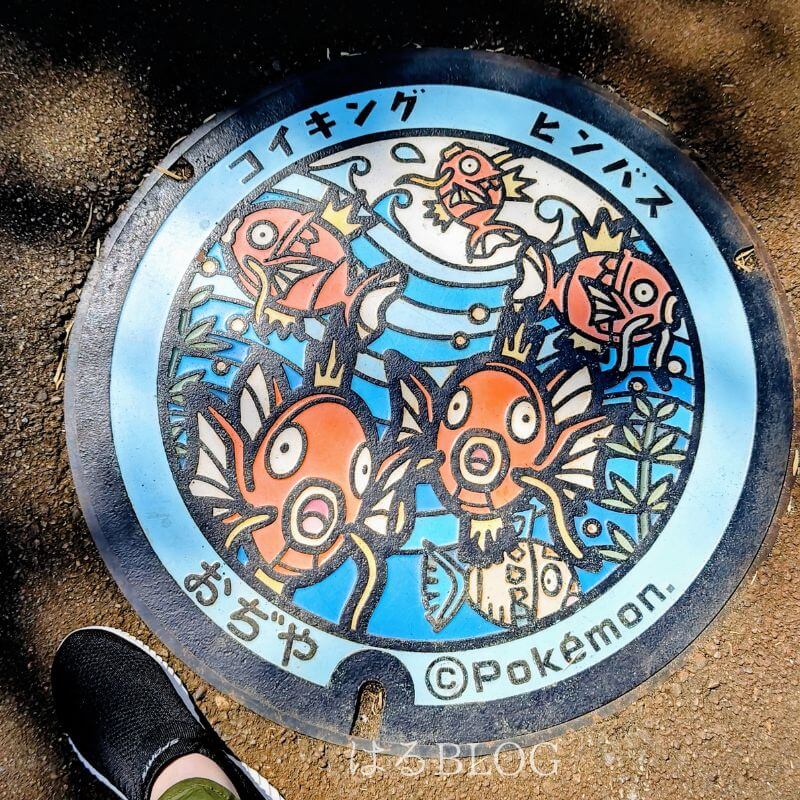 錦鯉の里入口にあるポケふた