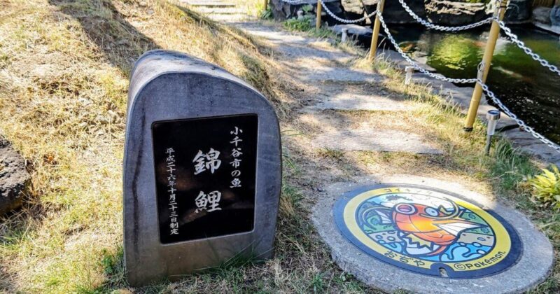 小千谷市役所の錦鯉の碑のそばにあるポケふた