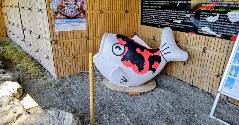 小千谷市役所の錦鯉オブジェ