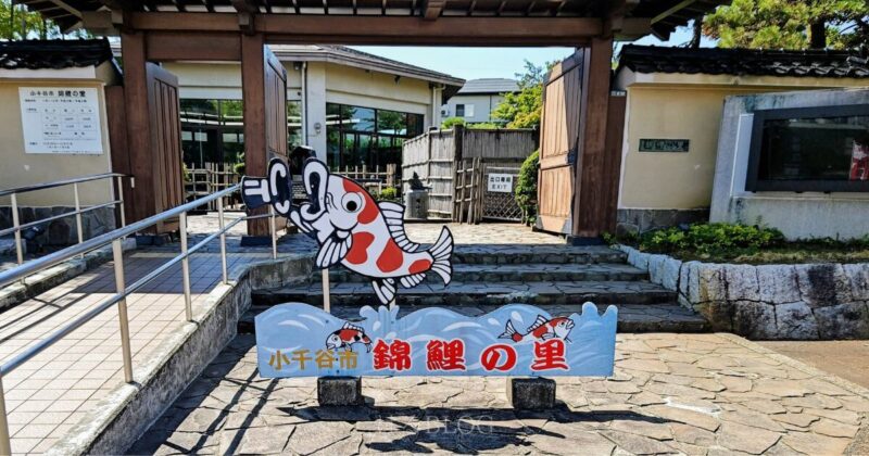 小千谷市錦鯉の里 入口外観