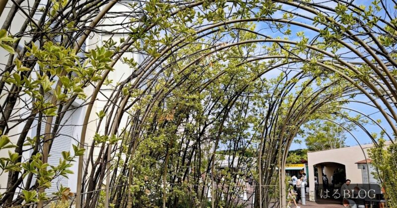 うなぎパイファクトリー駐車場から工場への続く道