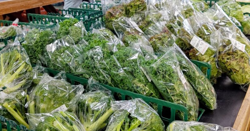地場産野菜が並ぶあさつゆ広場