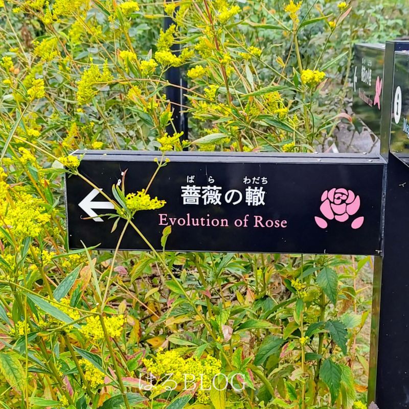花菜ガーデン「薔薇の轍」案内板