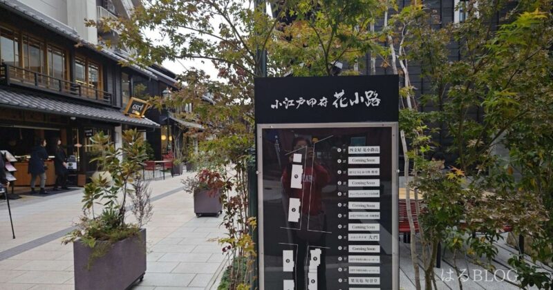 小江戸甲府 花小路入口