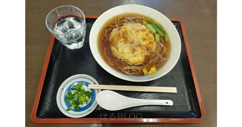 道の駅 山北：かき揚げそば