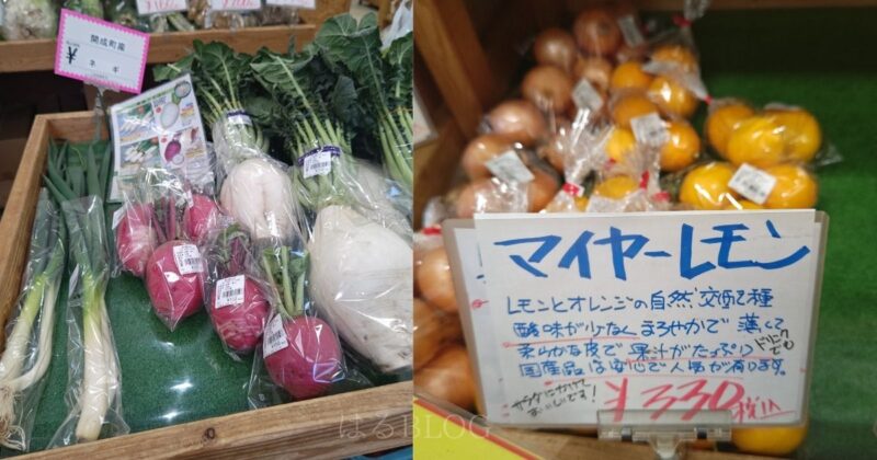 道の駅 山北：地場産野菜