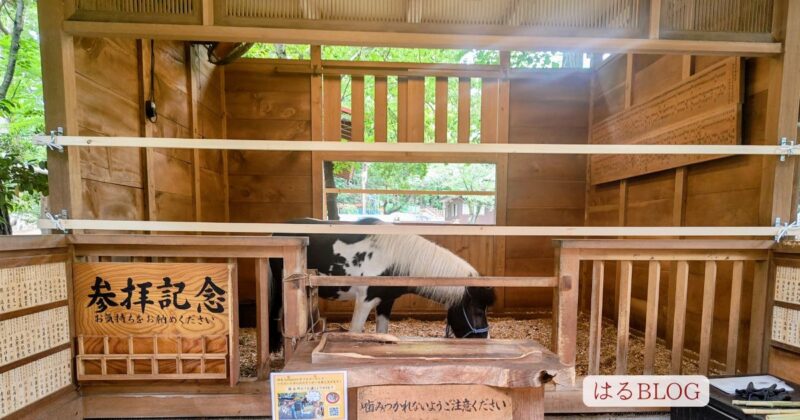 平塚八幡宮神馬「東風」