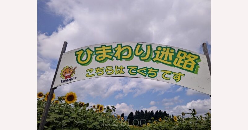 津南ひまわり広場迷路出口