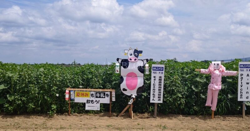 津南ひまわり広場かかしコンテスト