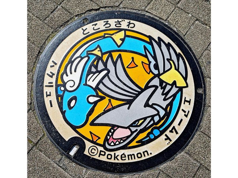 ハクリューとエアームドのポケふた