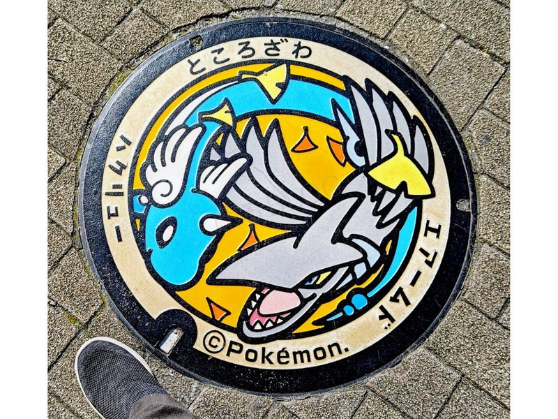 ハクリューとエアームドのポケふた全体