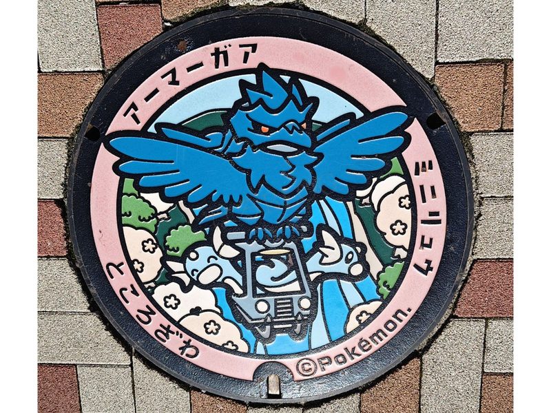 ミニリュウとアーマーガアのポケふた
