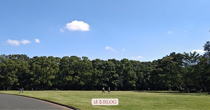 所沢航空記念公園