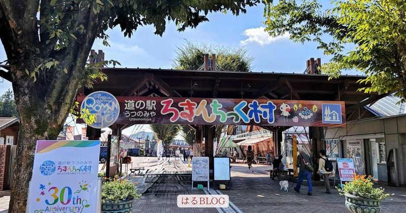 道の駅「うつのみや ろまんちっく村」