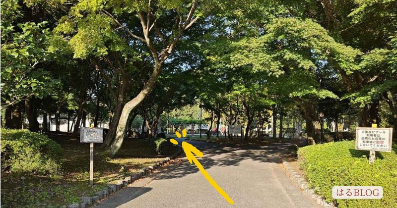 木々に囲まれた宇都宮駅東公園