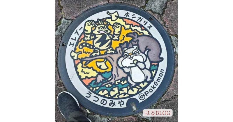 宇都宮駅東公園のポケふた