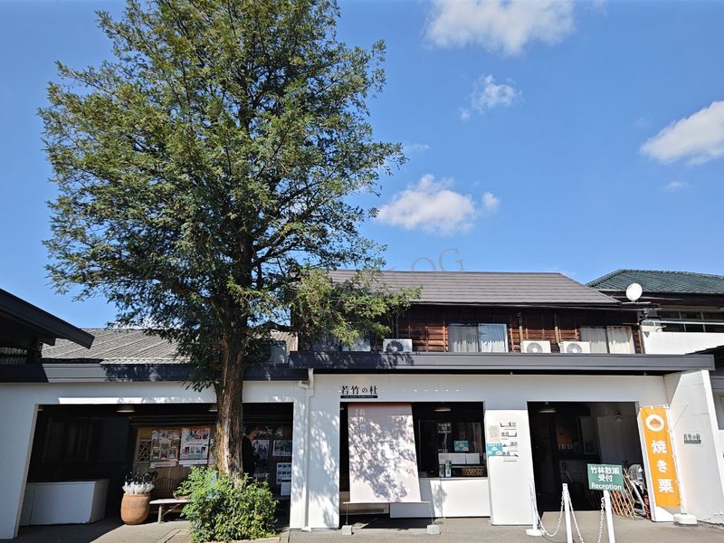 若竹の杜（若山農場）